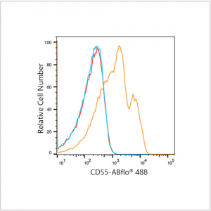 ABflo® 488 Rabbit anti-Human CD55 mAb (100 T)
