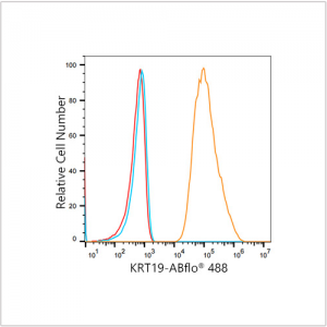ABflo® 488 Rabbit anti-Human Cytokeratin 19 (KRT19) mAb (100 T)