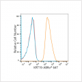 ABflo® 647 Rabbit anti-Human Cytokeratin 19 (KRT19) mAb (100 T)