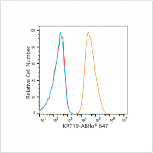ABflo® 647 Rabbit anti-Human Cytokeratin 19 (KRT19) mAb (100 T)