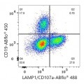 ABflo® 488 Rabbit anti-Human LAMP1/CD107a mAb (100 T)