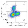 ABflo® 647 Rabbit anti-Human LAMP1/CD107a mAb (100 T)