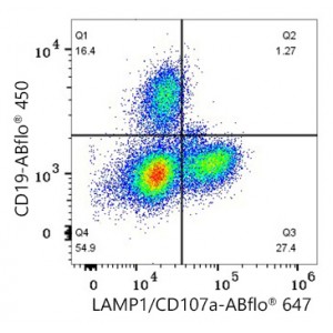 ABflo® 647 Rabbit anti-Human LAMP1/CD107a mAb (100 T)