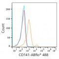 ABflo® 488 Rabbit anti-Human CD141/Thrombomodulin mAb (100 T)