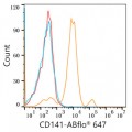 ABflo® 647 Rabbit anti-Human CD141/Thrombomodulin mAb (100 T)
