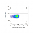 ABflo® 488 Rabbit anti-Human CD71 mAb (100 T)