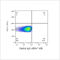 ABflo® 488 Rabbit anti-Human CD70 mAb (100 T)