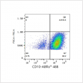 ABflo® 488 Rabbit anti-Human CD10 mAb (100 T)