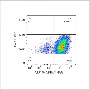 ABflo® 488 Rabbit anti-Human CD10 mAb (100 T)