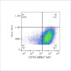 ABflo® 647 Rabbit anti-Human CD10 mAb (100 T)