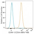 ABflo® 488 Rabbit anti-Human ICAM-1/CD54 mAb (100 T)