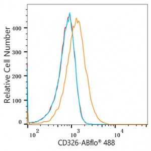 ABflo® 488 Rabbit anti-Human CD326/EPCAM mAb (100 T)