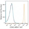 ABflo® 647 Rabbit anti-Human CD45 mAb (100 T)