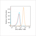 ABflo® 488 Rabbit anti-Human ERG mAb (100 T)