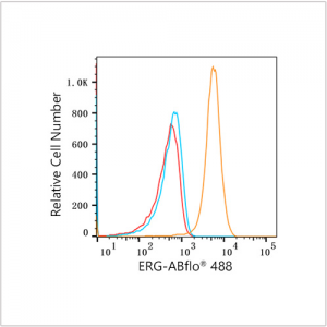 ABflo® 488 Rabbit anti-Human ERG mAb (100 T)