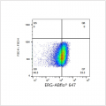 ABflo® 647 Rabbit anti-Human ERG mAb (100 T)