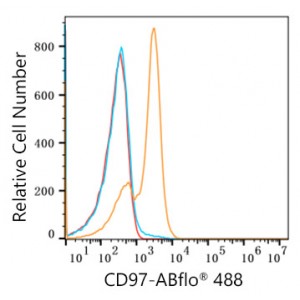 ABflo® 488 Rabbit anti-Human CD97 mAb (100 T)