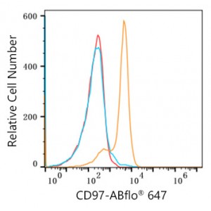 ABflo® 647 Rabbit anti-Human CD97 mAb (100 T)