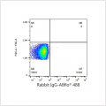 ABflo® 488 Rabbit anti-Human AXL mAb (100 T)