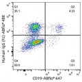 ABflo® 488 Rabbit anti-Human IgG (Fc) mAb (100 T)