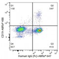ABflo® 647 Rabbit anti-Human IgG (Fc) mAb (100 T)