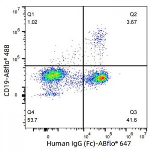 ABflo® 647 Rabbit anti-Human IgG (Fc) mAb (100 T)