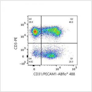ABflo® 488 Rabbit anti-Human CD31/PECAM1 mAb (100 T)