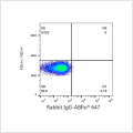ABflo® 647 Rabbit anti-Human CD90/Thy1 mAb (100 T)