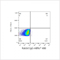 ABflo® 488 Rabbit anti-Human CD317/BST2 mAb (100 T)