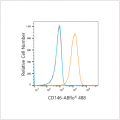 ABflo® 488 Rabbit anti-Human CD146 mAb (100 T)