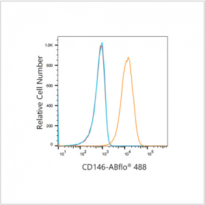 ABflo® 488 Rabbit anti-Human CD146 mAb (100 T)