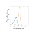 ABflo® 647 Rabbit anti-Human CD146 mAb (100 T)