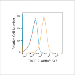 ABflo® 647 Rabbit anti-Human TROP-2 mAb (100 T)