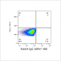 ABflo® 488 Rabbit anti-Human CD304/Neuropilin-1 mAb (100 T)