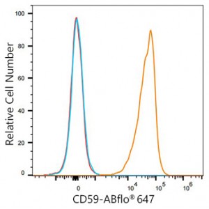 ABflo® 647 Rabbit anti-Human CD59 mAb (100 T)