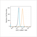 ABflo® 488 Rabbit anti-Human Glypican 3 (GPC3) mAb (100 T)