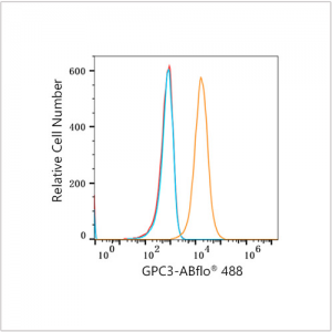ABflo® 488 Rabbit anti-Human Glypican 3 (GPC3) mAb (100 T)