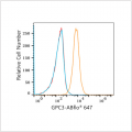 ABflo® 647 Rabbit anti-Human Glypican 3 (GPC3) mAb (100 T)