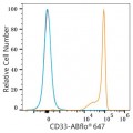 ABflo® 647 Rabbit anti-Human CD33 mAb (100 T)