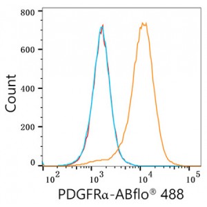 ABflo® 488 Rabbit anti-Human/Mouse PDGFRα/CD140a mAb (100 T)