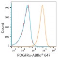ABflo® 647 Rabbit anti-Human/Mouse PDGFRα/CD140a mAb (100 T)