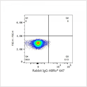 ABflo® 647 Rabbit anti-Human E-Cadherin/CD324 mAb (100 T)