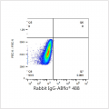 ABflo® 488 Rabbit anti-Human CAR/CXADR mAb (100 T)