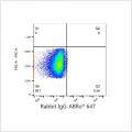 ABflo® 647 Rabbit anti-Human CAR/CXADR mAb (100 T)