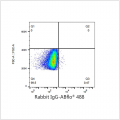 ABflo® 488 Rabbit anti-Human CD235a/Glycophorin A mAb (100 T)