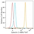ABflo® 647 Rabbit anti-Human Galectin 3 mAb (100 T)