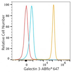 ABflo® 647 Rabbit anti-Human Galectin 3 mAb (100 T)