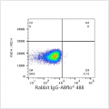 ABflo® 488 Rabbit anti-Human CD62L/L-Selectin mAb (100 T)