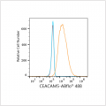ABflo® 488 Rabbit anti-Human CEACAM5/CD66e mAb (100 T)