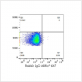 ABflo® 647 Rabbit anti-Human CEACAM5/CD66e mAb (100 T)